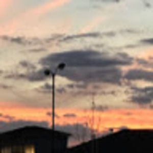 Meet your Posher, Edward